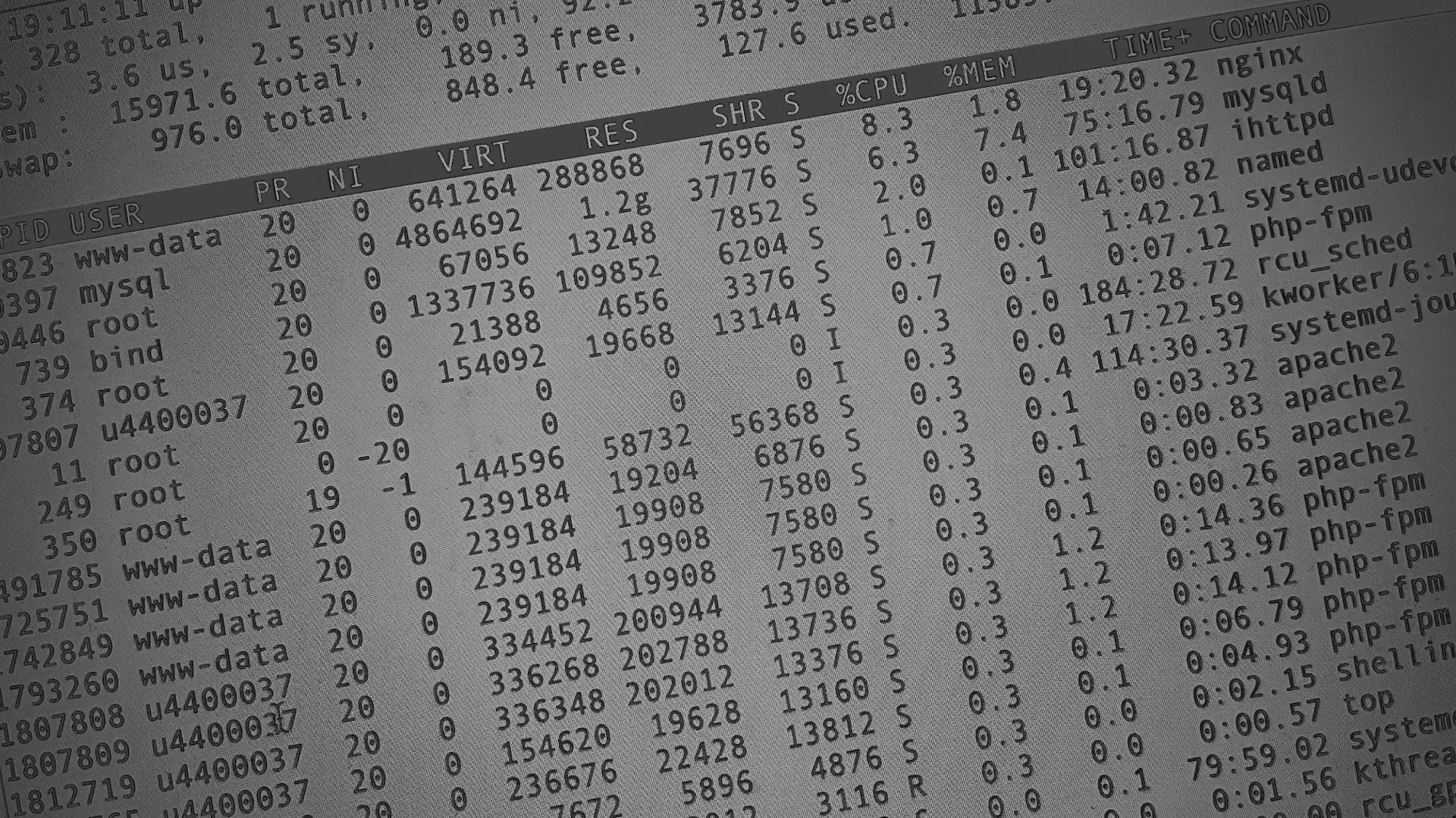 Настройка сервера в Архангельске