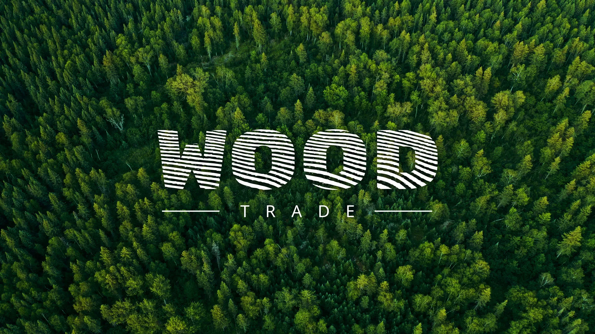 Разработка интернет-магазина компании «Wood Trade» в Архангельске